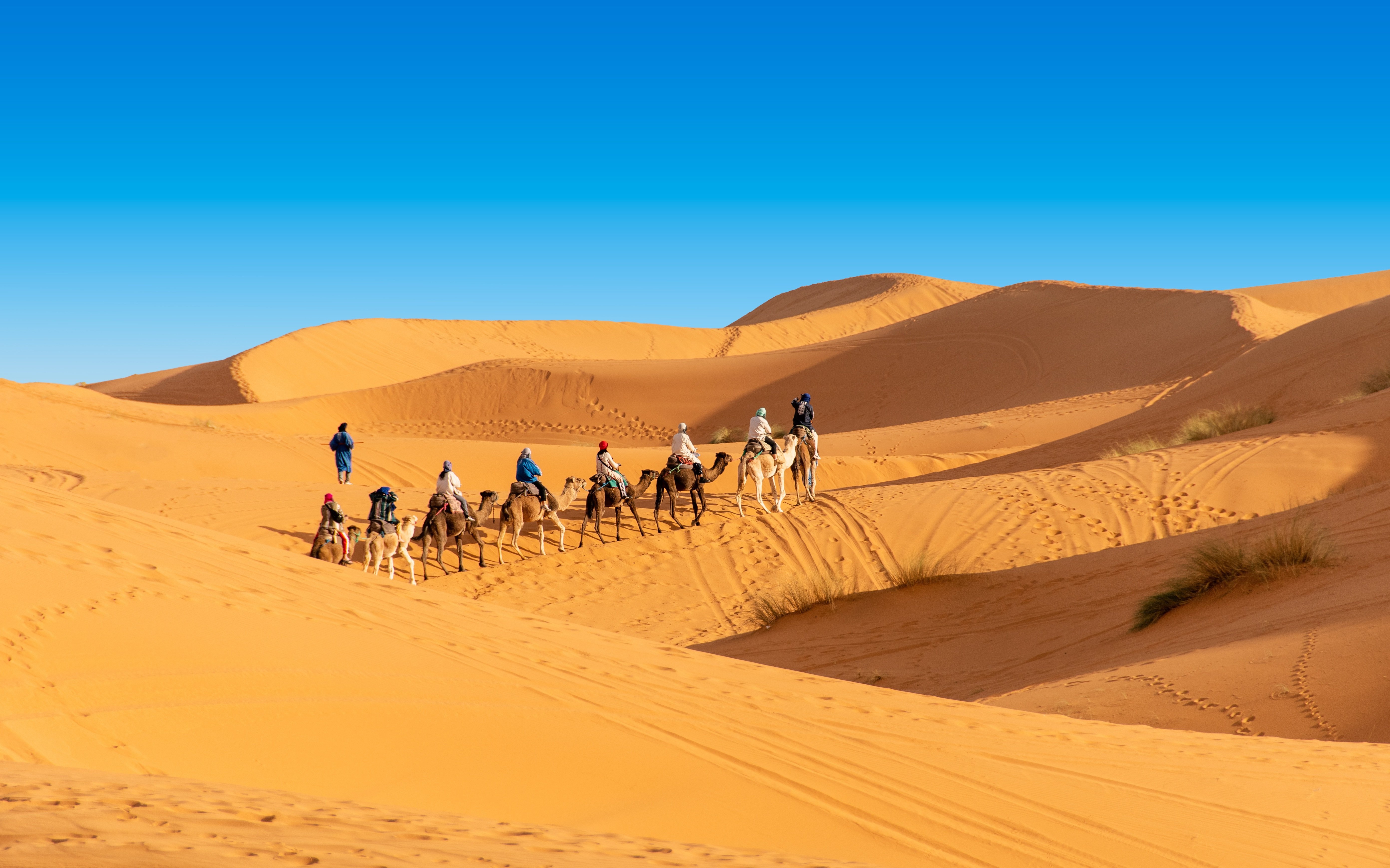 2-Day Zagora Desert Experience
